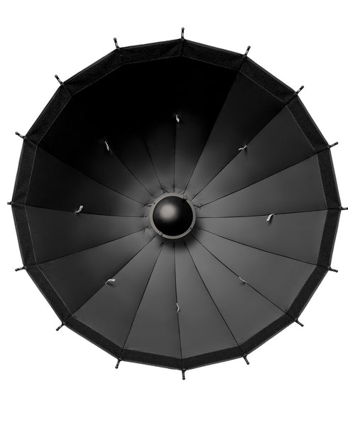 40" Blackdish
